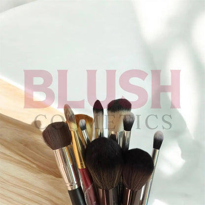 Pack Of 10 Make Up Brushes Professional Make Up Brushes (premium Quality) Random Blush Cosmetics
