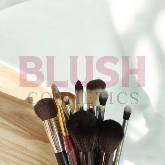 Pack Of 10 Make Up Brushes Professional Make Up Brushes (premium Quality) Random Blush Cosmetics